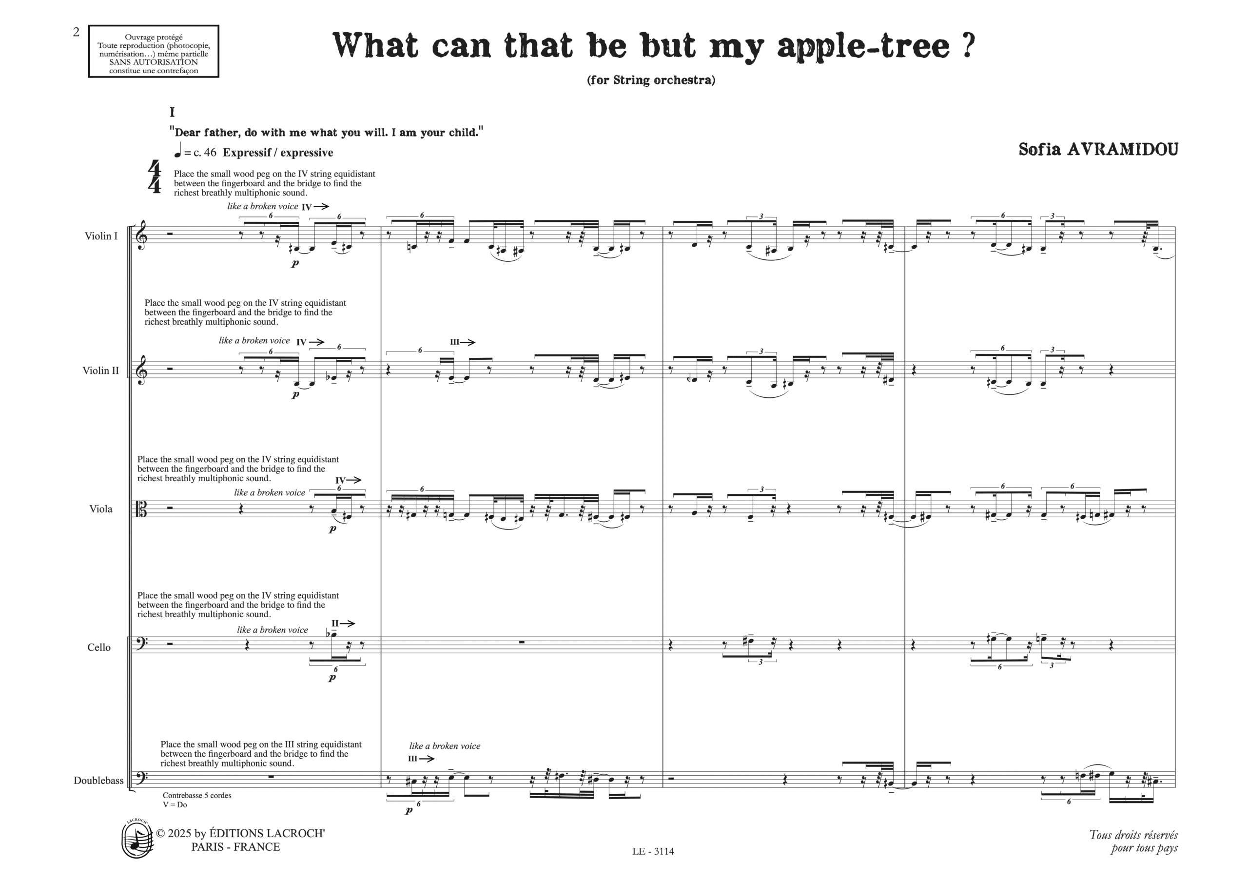 What can that be - Bordeaux - Official Score - B4 JIS - VII-25 1