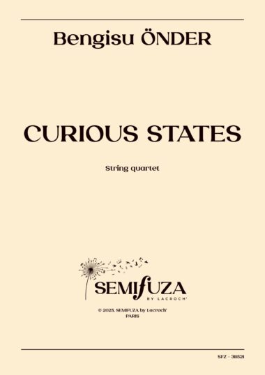 Curious States - String Quartet