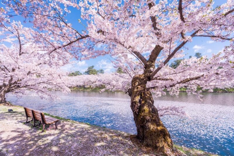 HARUSAME NO – 春雨の – HARU SHIONOYA – Ensemble Vocal et orgue